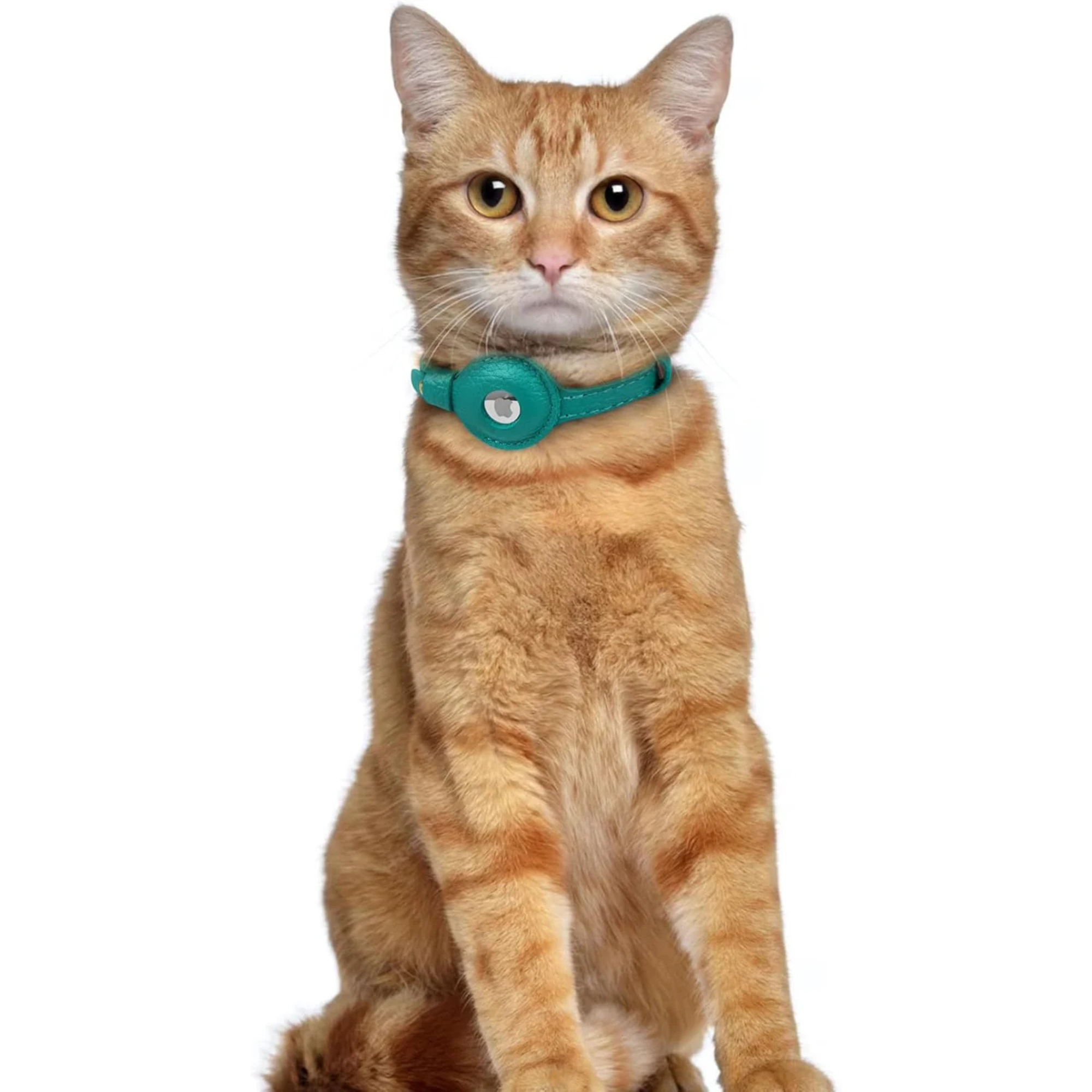 Leather AirTag Pet Collar