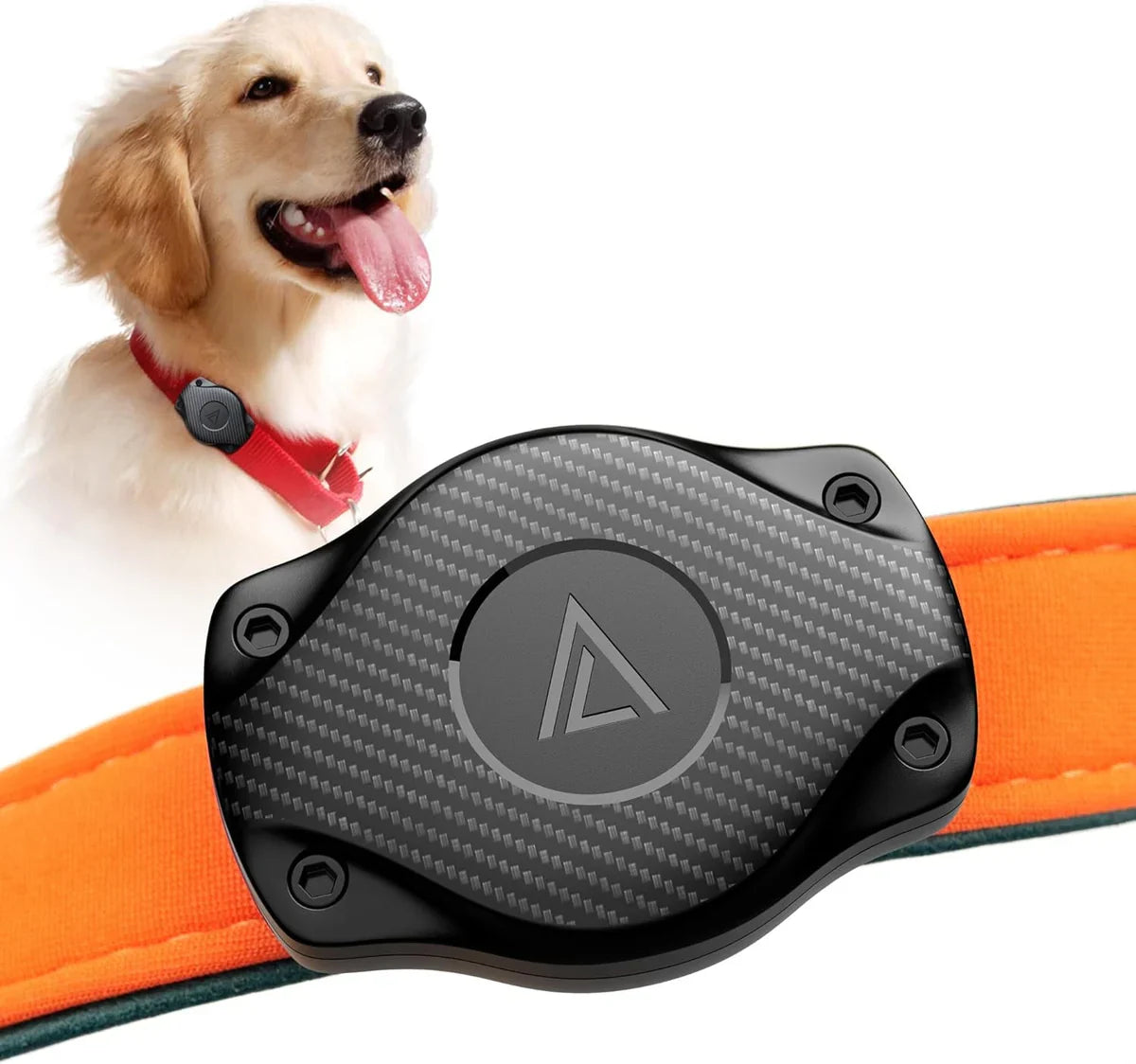 PetSafe AirTag Holder