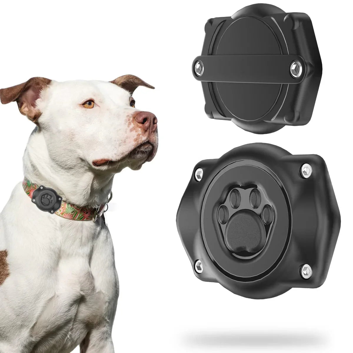PetSafe AirTag Collar