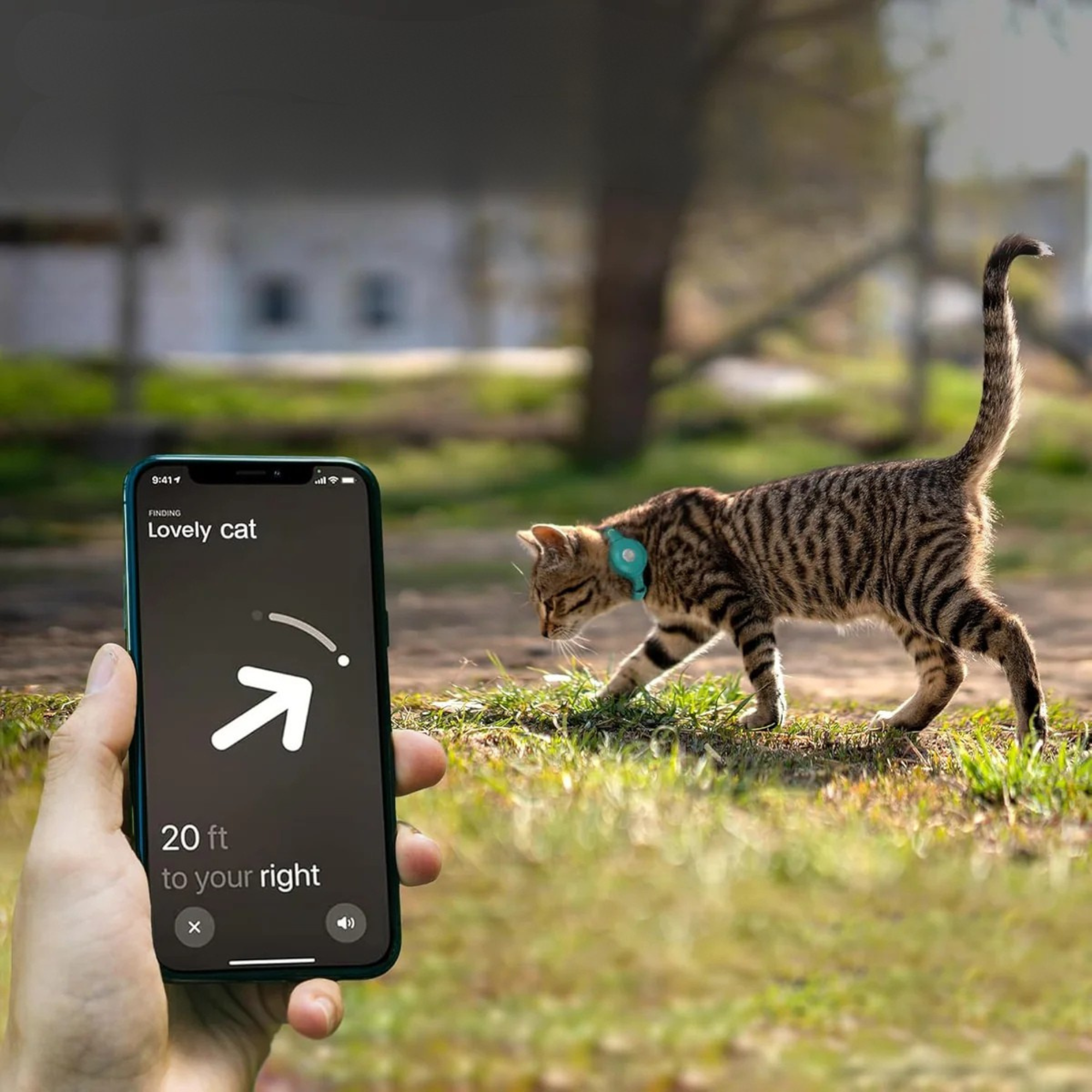 Leather AirTag Pet Collar