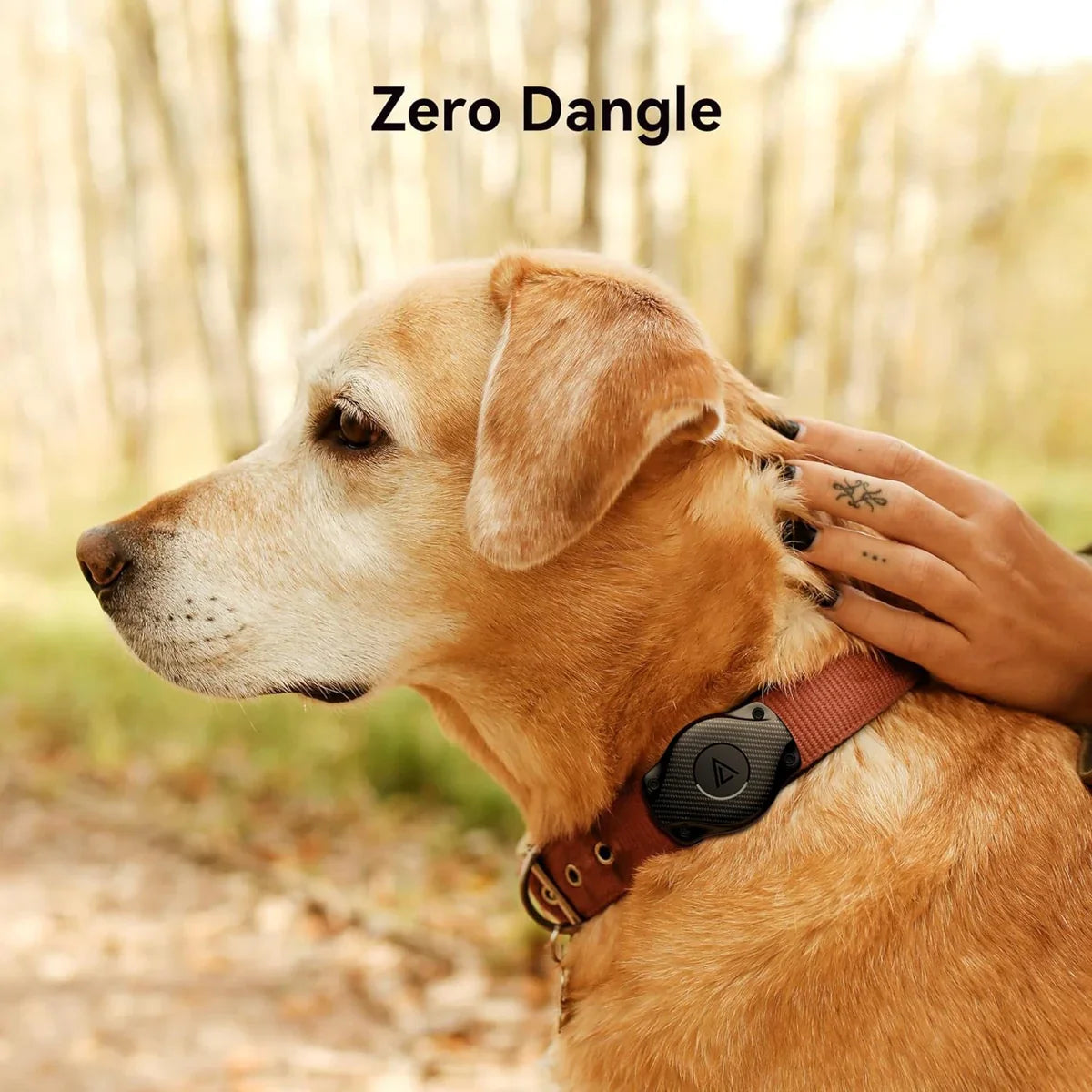 PetSafe AirTag Holder