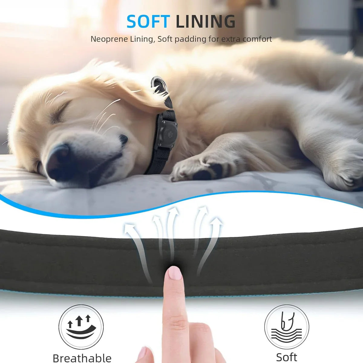 PetSafe AirTag Dog Collar